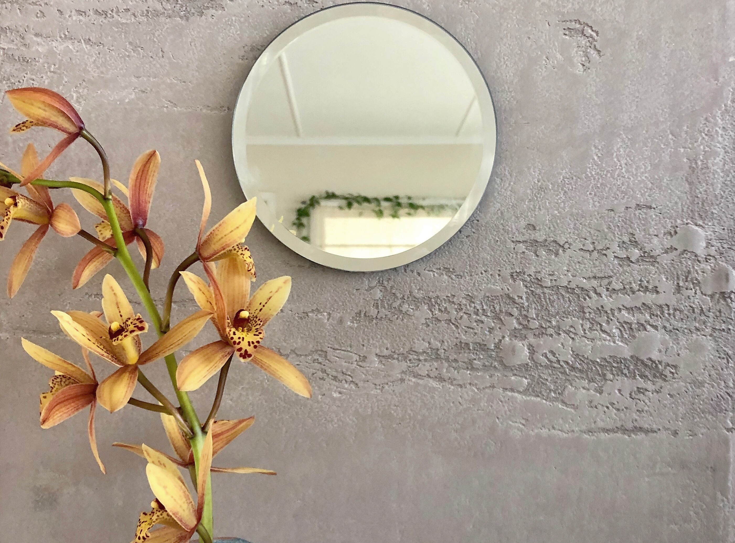 7c6a03de-774c-4460-8416-de7307896a5f